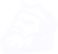 logo nwsesport blanc