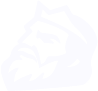 logo nwsesport blanc